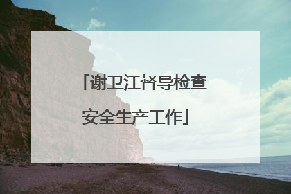 谢卫江督导检查安全生产工作