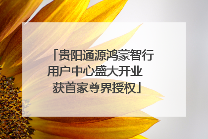 贵阳通源鸿蒙智行用户中心盛大开业 获首家尊界授权