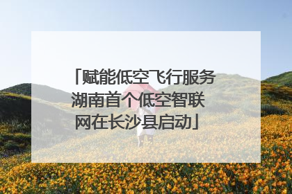 赋能低空飞行服务 湖南首个低空智联网在长沙县启动