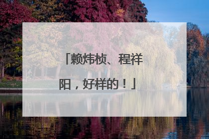 赖炜桢、程祥阳，好样的！