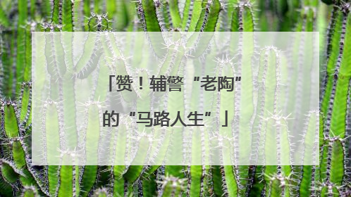 赞！辅警“老陶”的“马路人生”