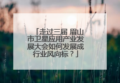 走过三届 眉山市卫星应用产业发展大会如何发展成行业风向标？