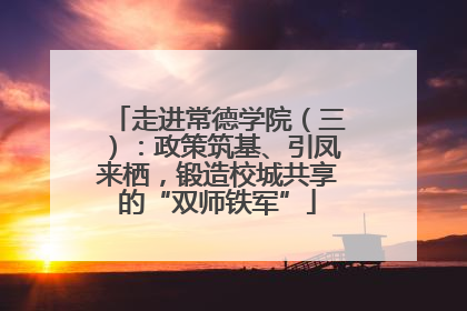 走进常德学院（三）：政策筑基、引凤来栖，锻造校城共享的“双师铁军”