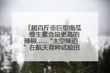 超百斤重巨型南瓜、维生素含量更高的辣椒……“太空味道”在航天育种试验田里拔节生长
