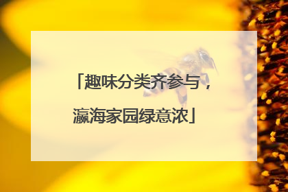 趣味分类齐参与，瀛海家园绿意浓