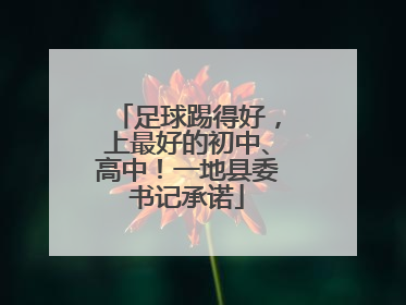 足球踢得好，上最好的初中、高中！一地县委书记承诺