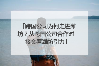 跨国公司为何走进潍坊？从跨国公司合作对接会看潍坊引力
