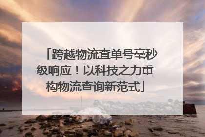 跨越物流查单号毫秒级响应！以科技之力重构物流查询新范式