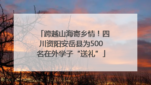 跨越山海寄乡情！四川资阳安岳县为500名在外学子“送礼”