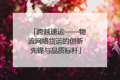 跨越速运——物流网络货运的创新先锋与品质标杆
