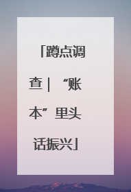 蹲点调查｜“账本”里头话振兴