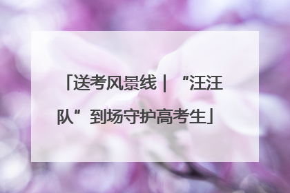 送考风景线｜“汪汪队”到场守护高考生