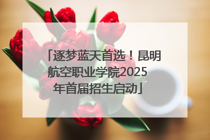 逐梦蓝天首选！昆明航空职业学院2025年首届招生启动