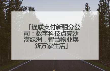 通联支付新疆分公司：数字科技点亮沙漠绿洲，智慧物业焕新万家生活