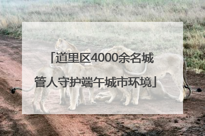 道里区4000余名城管人守护端午城市环境