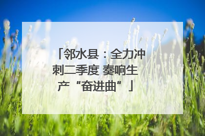 邻水县：全力冲刺二季度 奏响生产“奋进曲”
