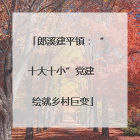 郎溪建平镇：“十大十小”党建 绘就乡村巨变