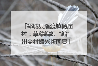 郓城县潘渡镇杨庙村：草藤编织“编”出乡村振兴新图景