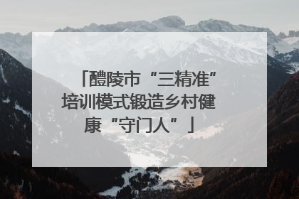 醴陵市“三精准”培训模式锻造乡村健康“守门人”