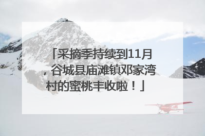 采摘季持续到11月，谷城县庙滩镇邓家湾村的蜜桃丰收啦！