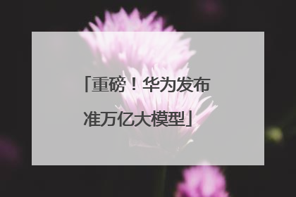重磅！华为发布准万亿大模型