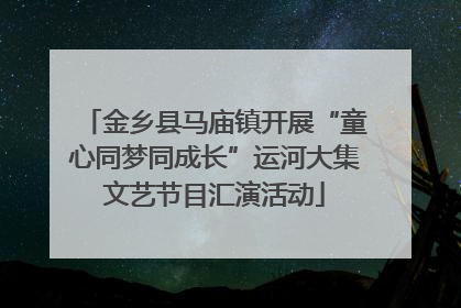 金乡县马庙镇开展“童心同梦同成长”运河大集文艺节目汇演活动