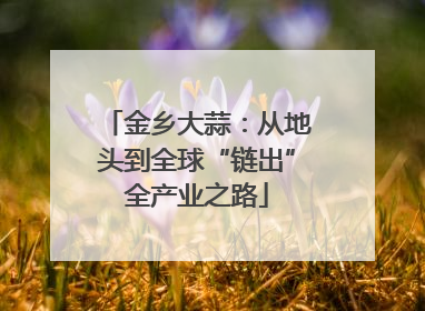 金乡大蒜：从地头到全球“链出”全产业之路