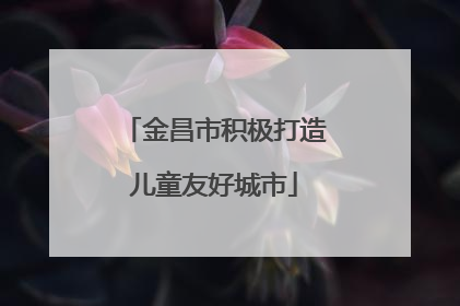 金昌市积极打造儿童友好城市