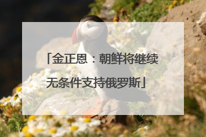 金正恩：朝鲜将继续无条件支持俄罗斯