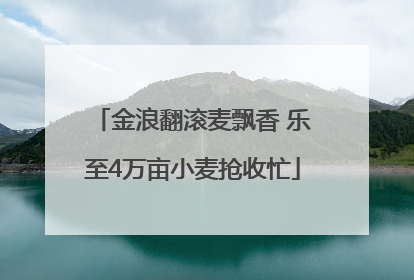 金浪翻滚麦飘香 乐至4万亩小麦抢收忙