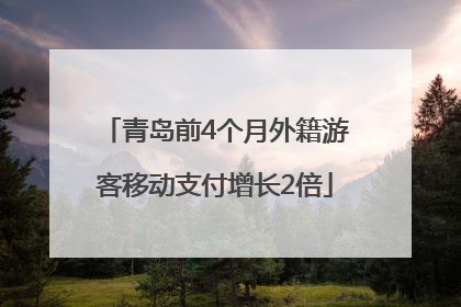青岛前4个月外籍游客移动支付增长2倍