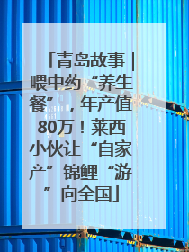 青岛故事｜喂中药“养生餐”，年产值80万！莱西小伙让“自家产”锦鲤“游”向全国
