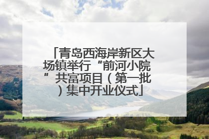 青岛西海岸新区大场镇举行“前河小院”共富项目（第一批）集中开业仪式