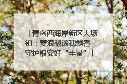 青岛西海岸新区大场镇：麦浪翻滚穗飘香 守护粮安好“丰景”
