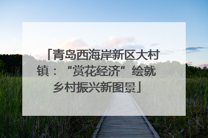 青岛西海岸新区大村镇：“赏花经济”绘就乡村振兴新图景