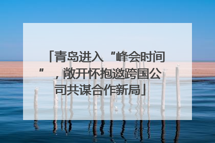 青岛进入“峰会时间”，敞开怀抱邀跨国公司共谋合作新局