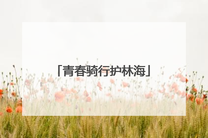 青春骑行护林海