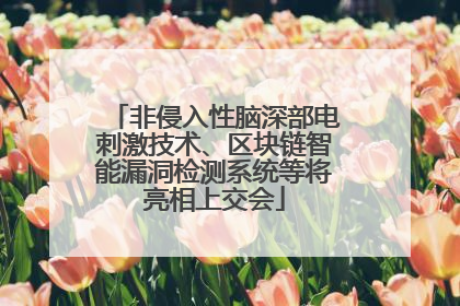 非侵入性脑深部电刺激技术、区块链智能漏洞检测系统等将亮相上交会