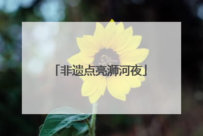 非遗点亮浉河夜