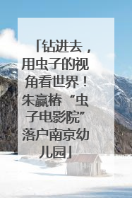 钻进去，用虫子的视角看世界！朱赢椿“虫子电影院”落户南京幼儿园