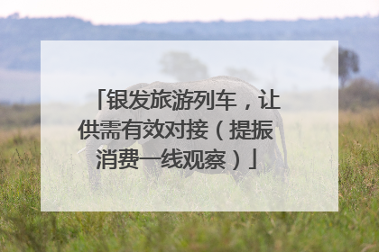 银发旅游列车，让供需有效对接（提振消费一线观察）