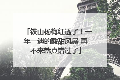 铁山杨梅红透了！一年一遇的酸甜风暴 再不来就真错过了