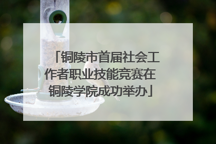铜陵市首届社会工作者职业技能竞赛在铜陵学院成功举办