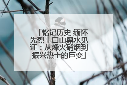 铭记历史 缅怀先烈丨白山黑水见证：从烽火硝烟到振兴热土的巨变