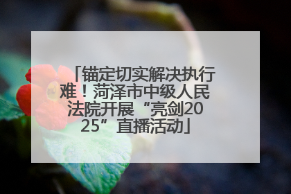 锚定切实解决执行难！菏泽市中级人民法院开展“亮剑2025”直播活动