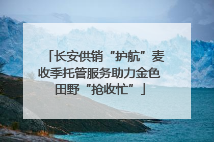 长安供销“护航”麦收季托管服务助力金色田野“抢收忙”