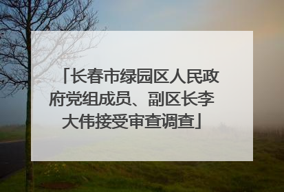 长春市绿园区人民政府党组成员、副区长李大伟接受审查调查