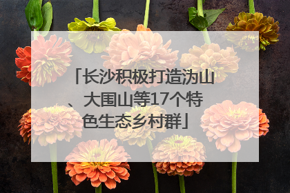 长沙积极打造沩山、大围山等17个特色生态乡村群
