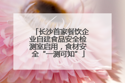 长沙首家餐饮企业自建食品安全检测室启用，食材安全“一测可知”