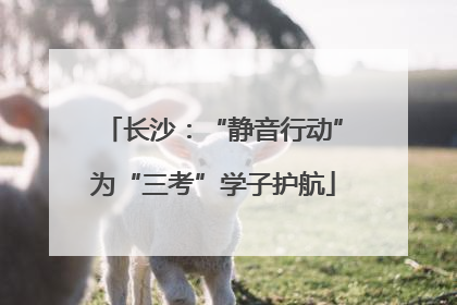 长沙：“静音行动”为“三考”学子护航